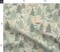 Woodland Babies Forest Animals Tan Green Gold Medium Sage Beige Custom Printed Fabric by Spoonflower Various Fabrics by the Yard or Fat Quarter 18032135